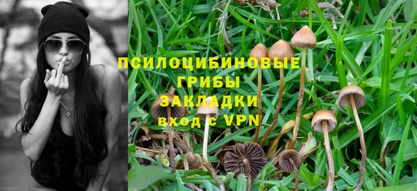 прущий лед Володарск